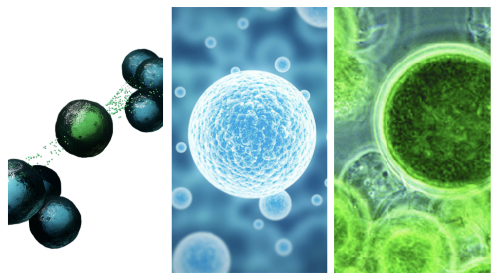 Screenshot 2024-02-20 at 15.18.19